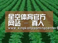 种植基地六(图1)