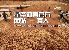 种植基地二