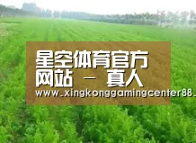 种植基地四