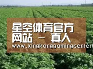 种植基地五