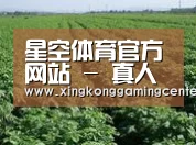 种植基地五(图1)