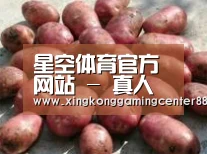 产品展示标题5