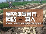 种植基地七(图1)