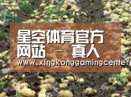 种植基地八(图1)