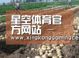 种植基地八
