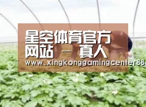种植基地三
