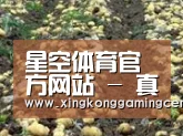 种植基地七