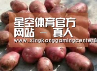 产品展示标题5(图1)
