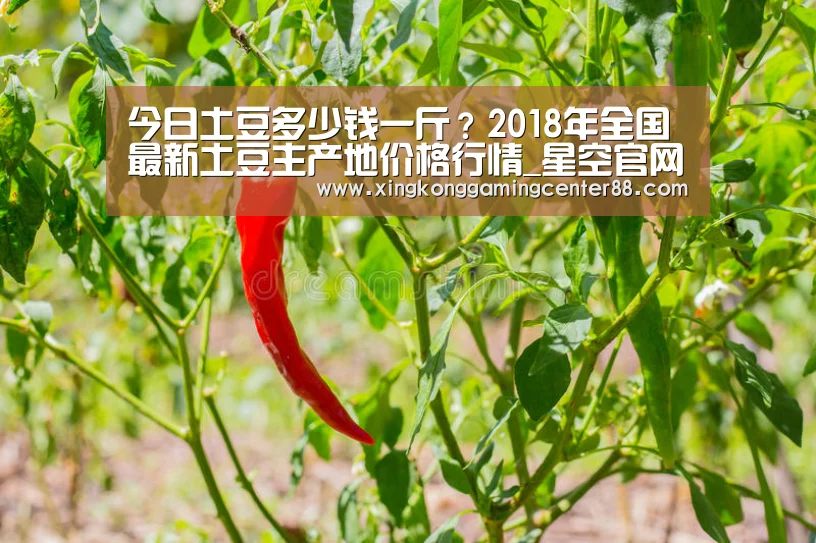 今日土豆多少钱一斤?2018年全国最新土豆主产地价格行情_星空官网(图2) 星空APP