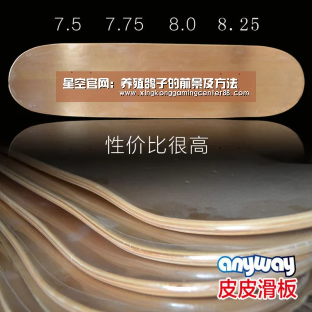 星空官网:养殖鸽子的前景及方法(图1) 星空平台