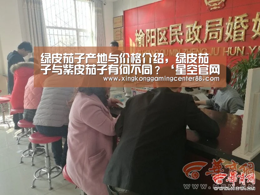 绿皮茄子产地与价格介绍,绿皮茄子与紫皮茄子有何不同?‘星空官网’(图1) 星空平台