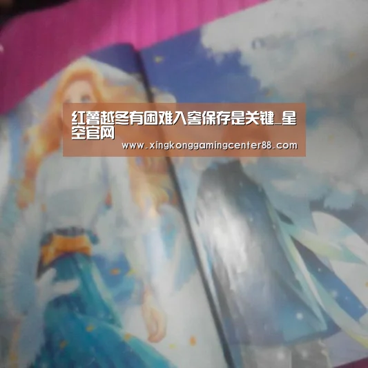 红薯越冬有困难入窖保存是关键_星空官网(图1) 星空平台
