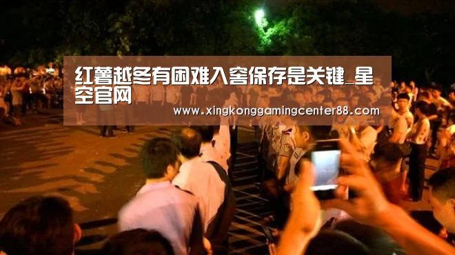 红薯越冬有困难入窖保存是关键_星空官网(图2) 星空真人