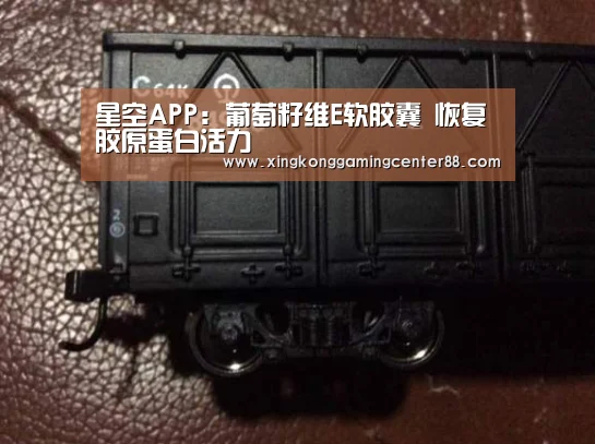 星空APP:葡萄籽维E软胶囊 恢复胶原蛋白活力(图1) 星空真人