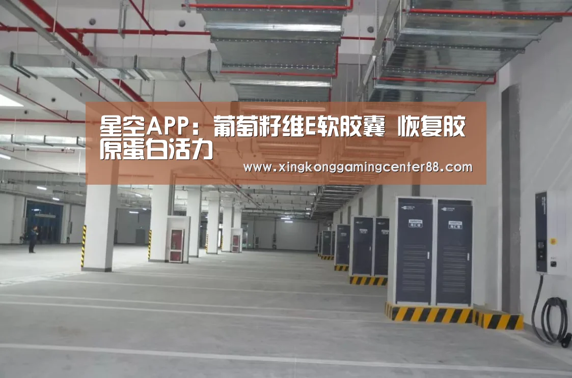 星空APP:葡萄籽维E软胶囊 恢复胶原蛋白活力(图3) 星空平台