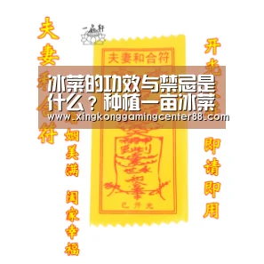 冰菜的功效与禁忌是什么?种植一亩冰菜成本收益如何?“星空官网”(图4) 星空APP