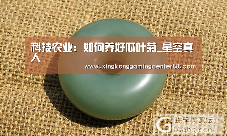 星空官网