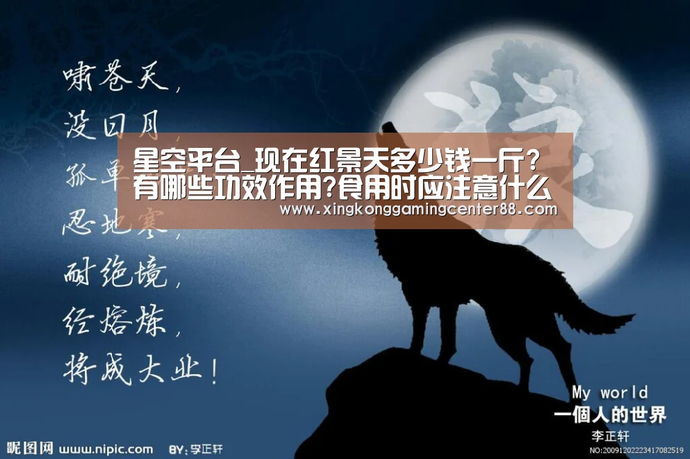 星空平台