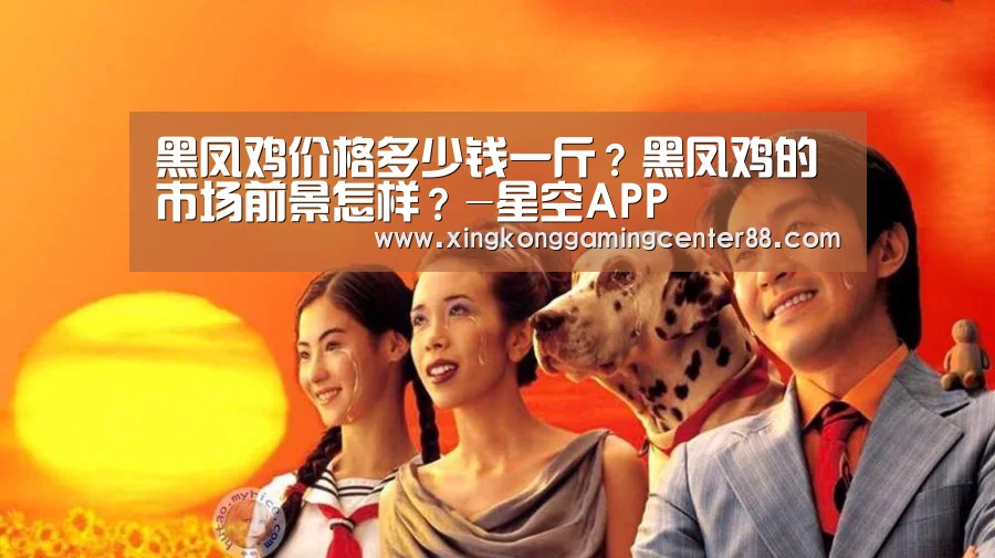 黑凤鸡价格多少钱一斤?黑凤鸡的市场前景怎样?-星空APP(图1) 星空官网