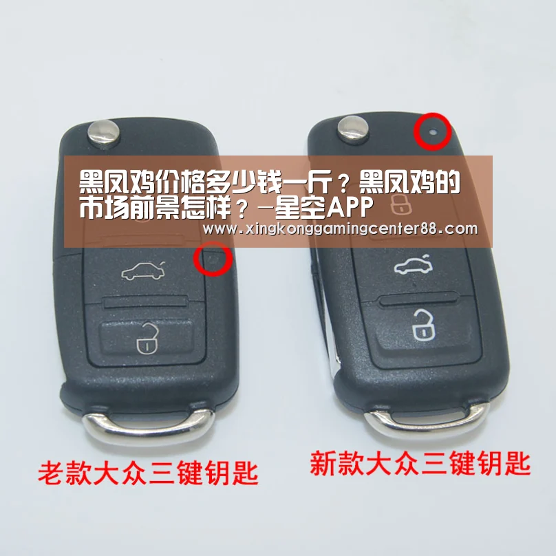 黑凤鸡价格多少钱一斤?黑凤鸡的市场前景怎样?-星空APP(图2) 星空官网