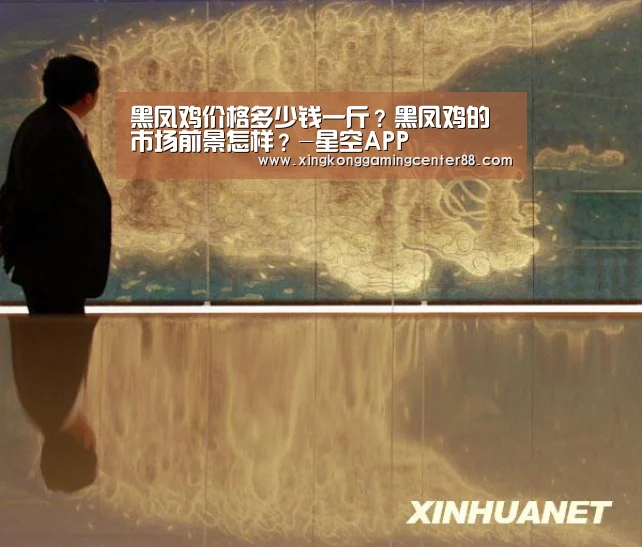 黑凤鸡价格多少钱一斤?黑凤鸡的市场前景怎样?-星空APP(图3) 星空平台