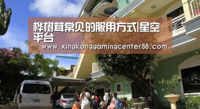 桦树茸常见的服用方式|星空平台(图3) 星空平台