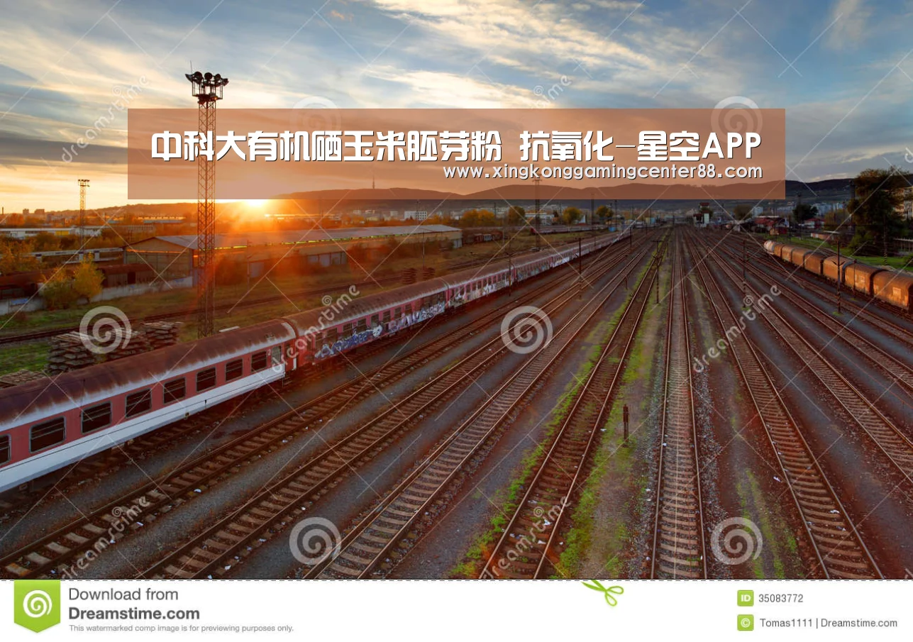 中科大有机硒玉米胚芽粉 抗氧化-星空APP(图3) 星空真人