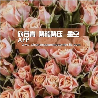欣苷青 降脂降压-星空APP(图1) 星空平台
