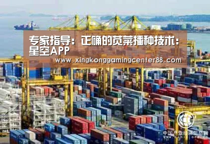 专家指导:正确的苋菜播种技术:星空APP(图2) 星空平台