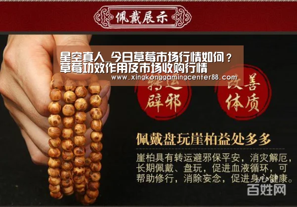 星空真人_今日草莓市场行情如何?草莓功效作用及市场收购行情(图1) 星空真人